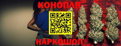 дживик Будённовск