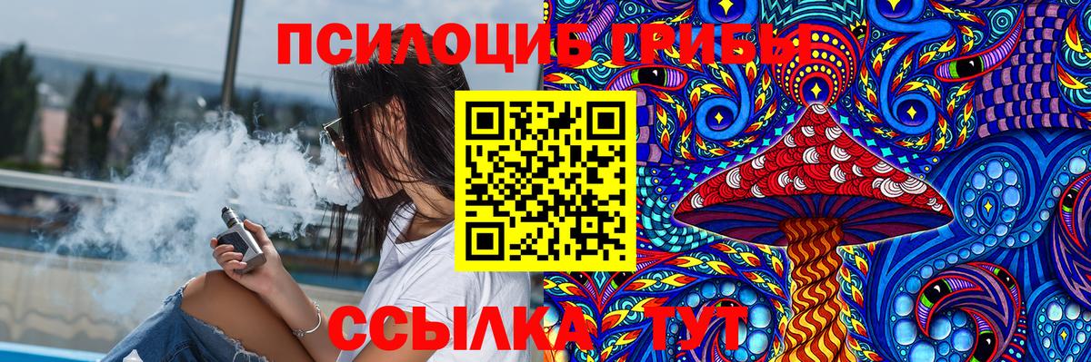 Североморск  Псилоцибиновые грибы Magic Shrooms  купить  сайты  Вход с VPN 