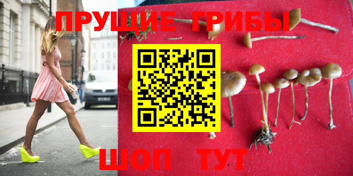 Псилоцибиновые грибы ЛСД Североморск